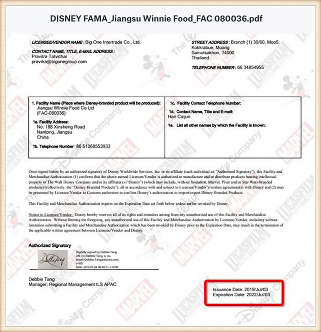 Disney audit certificate